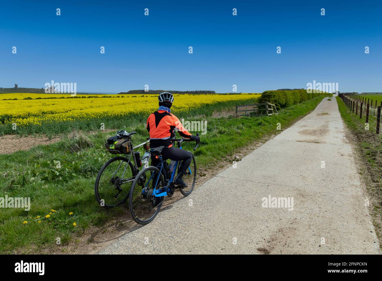 Cycling on Sustrans national cycle network route 1, close to Craster, Northumberland, UK. Stock Photo