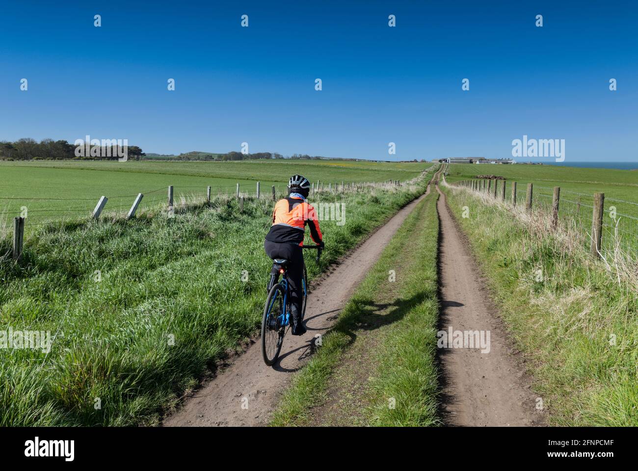 Cycling on Sustrans national cycle network route 1, close to Craster,  Northumberland, UK Stock Photo - Alamy