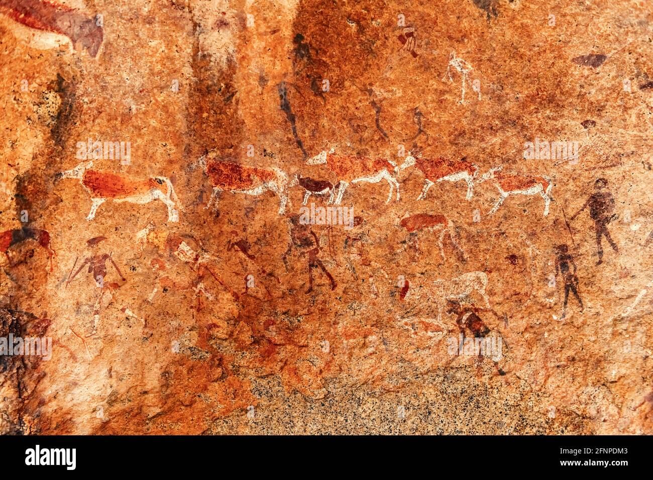 Bushmen rock paintings White Lady Stock Photo
