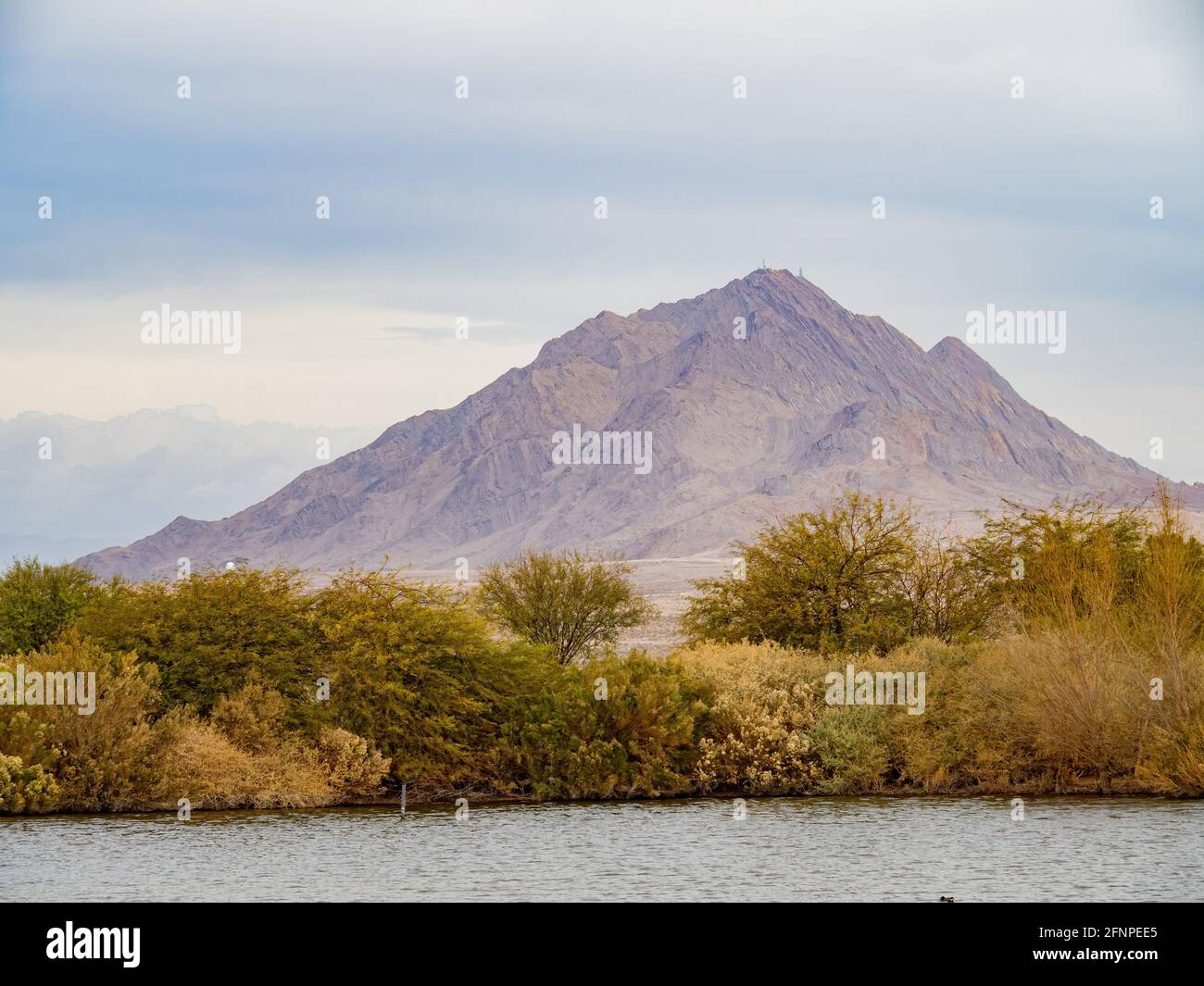 Nature landscape of Henderson Bird Viewing Preserve at Nevada Stock ...