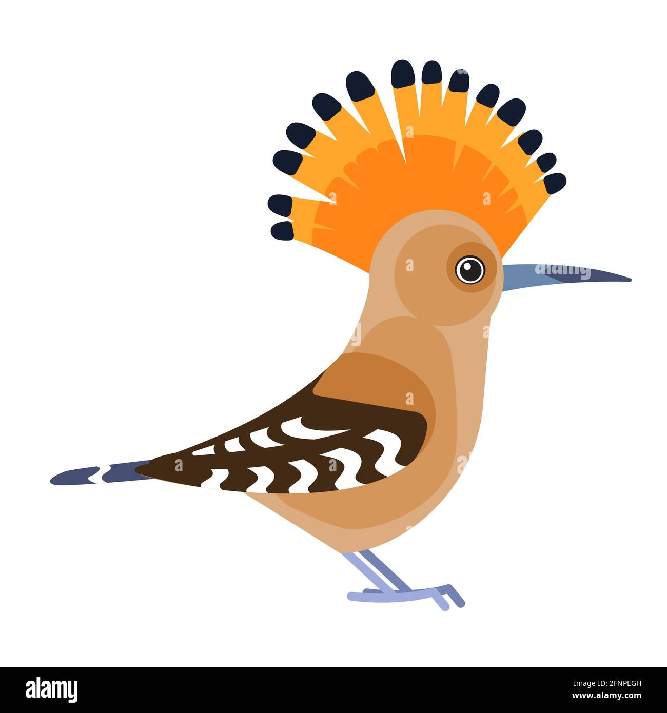 Eurasian Hoopoe or Common hoopoe, Upupa epops . Bird cartoon flat style beautiful character of ornithology, vector illustration isolated on white Stock Vector