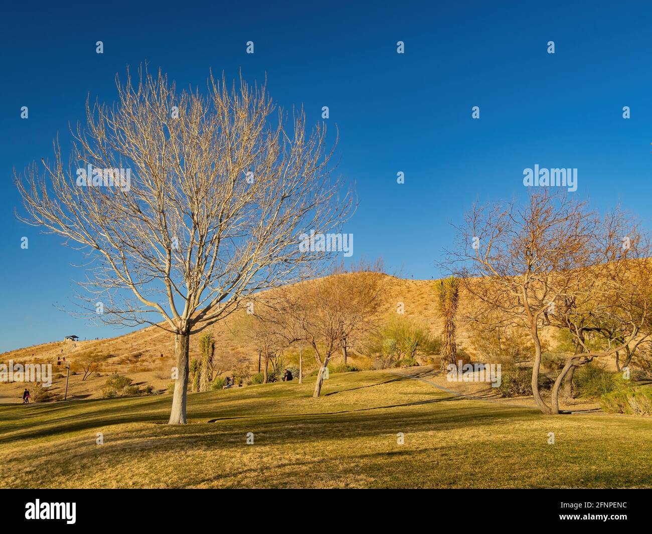 Sky exploration hi-res stock photography and images - Alamy