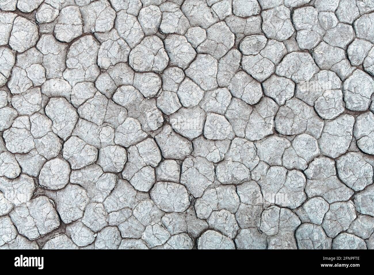 Cracked land texture close up Stock Photo
