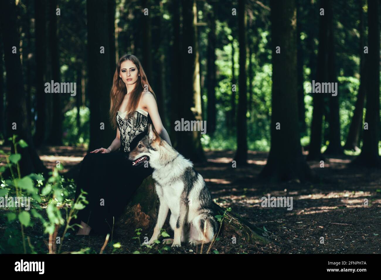 beautiful woman and dog posing in forest Stock Photo