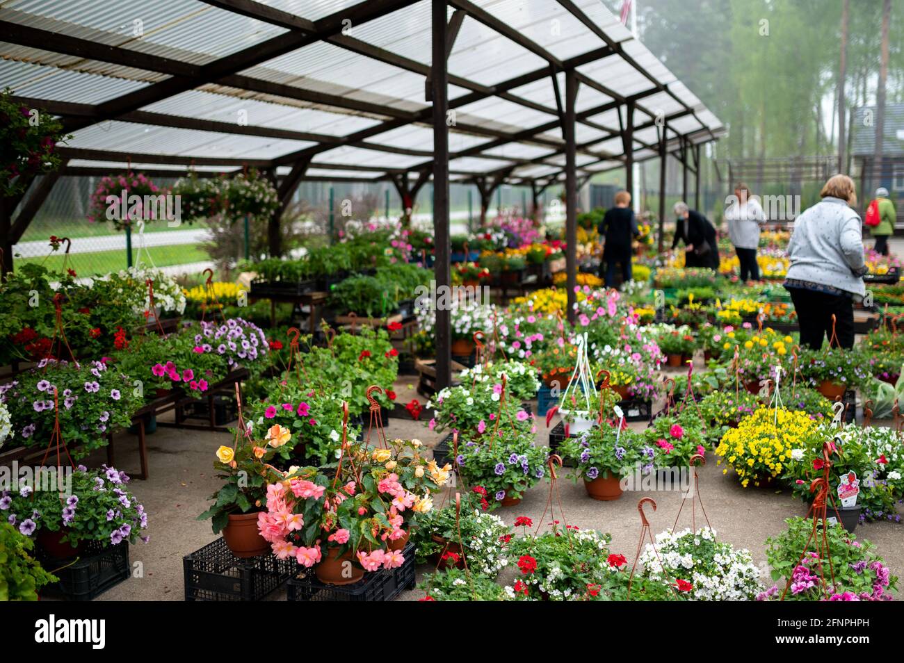 Colourful scene at spring flower market with people shopping for spring flowers for their gardens Stock Photo