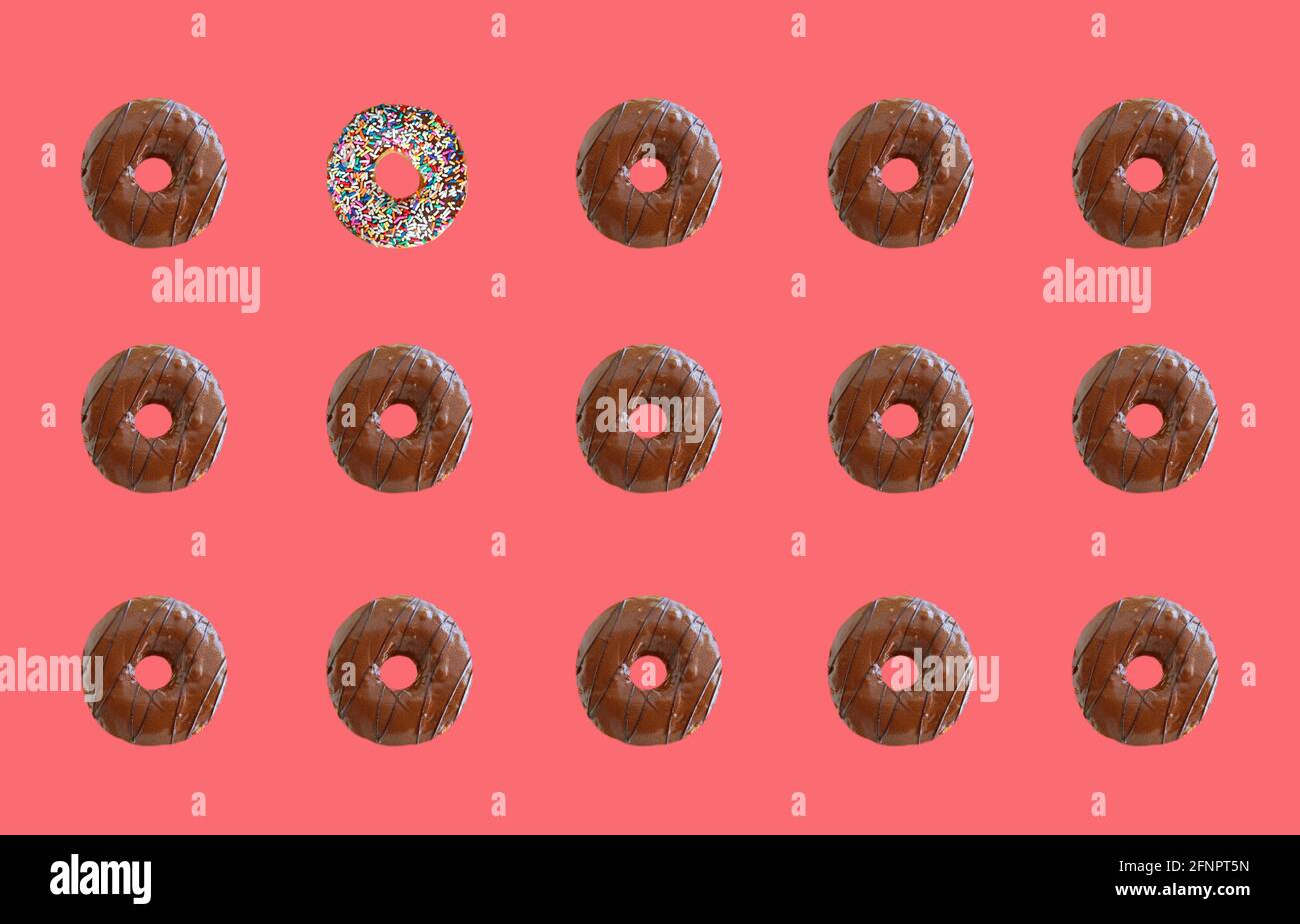 Rows of Chocolate Glazed Doughnuts Pattern on Coral Pink Background Stock Photo