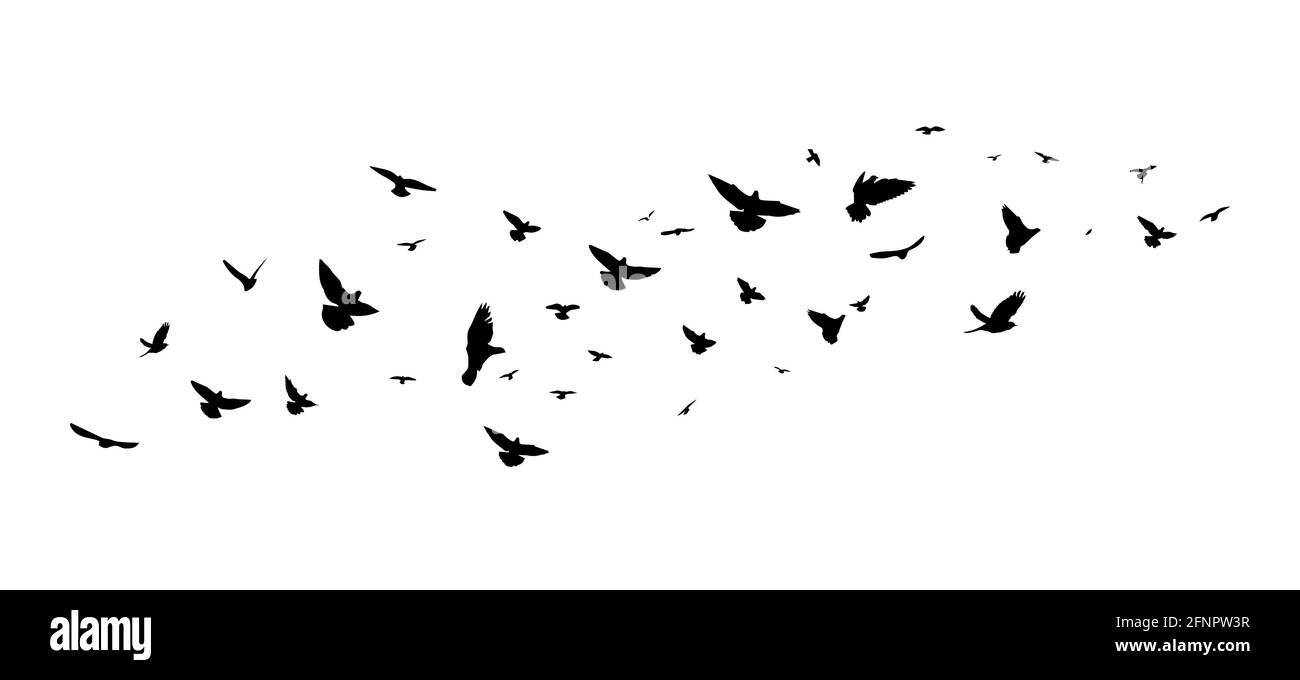 A flock of flying birds. Vector illustration Stock Vector