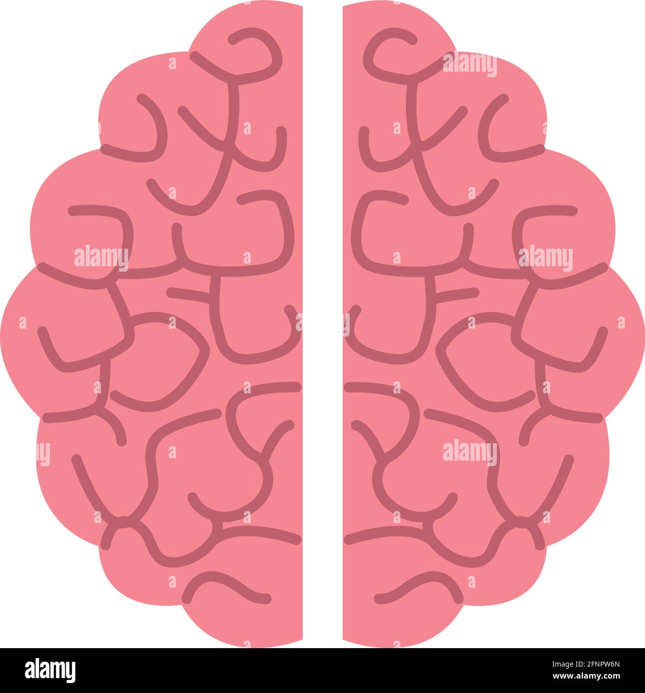 brain human organ Stock Vector Image & Art - Alamy