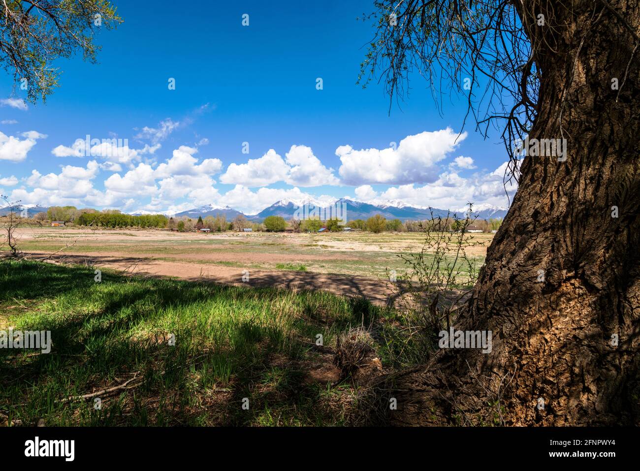 Springtime panorama view of Collegiate Peaks; Rocky Mountains; central Colorado; USA Stock Photo