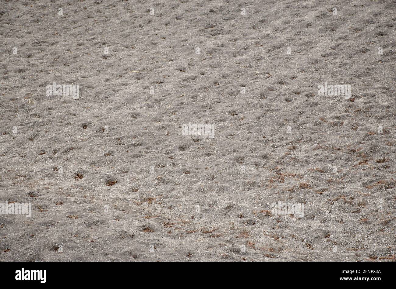Vegetable garden field Background image of chalky limestone soil with