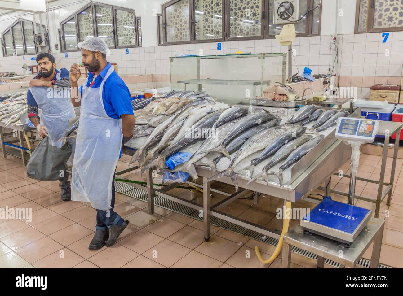 ABU DHABI, UAE MARCH 9, 2017 Fish stalls at Al Mina fish market in