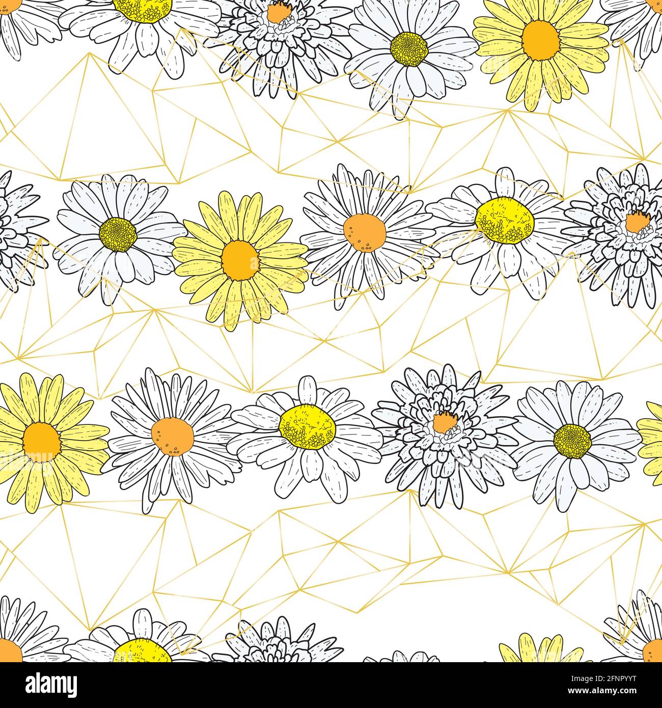 Vector white background daisy flowers and wild flowers. Seamless ...