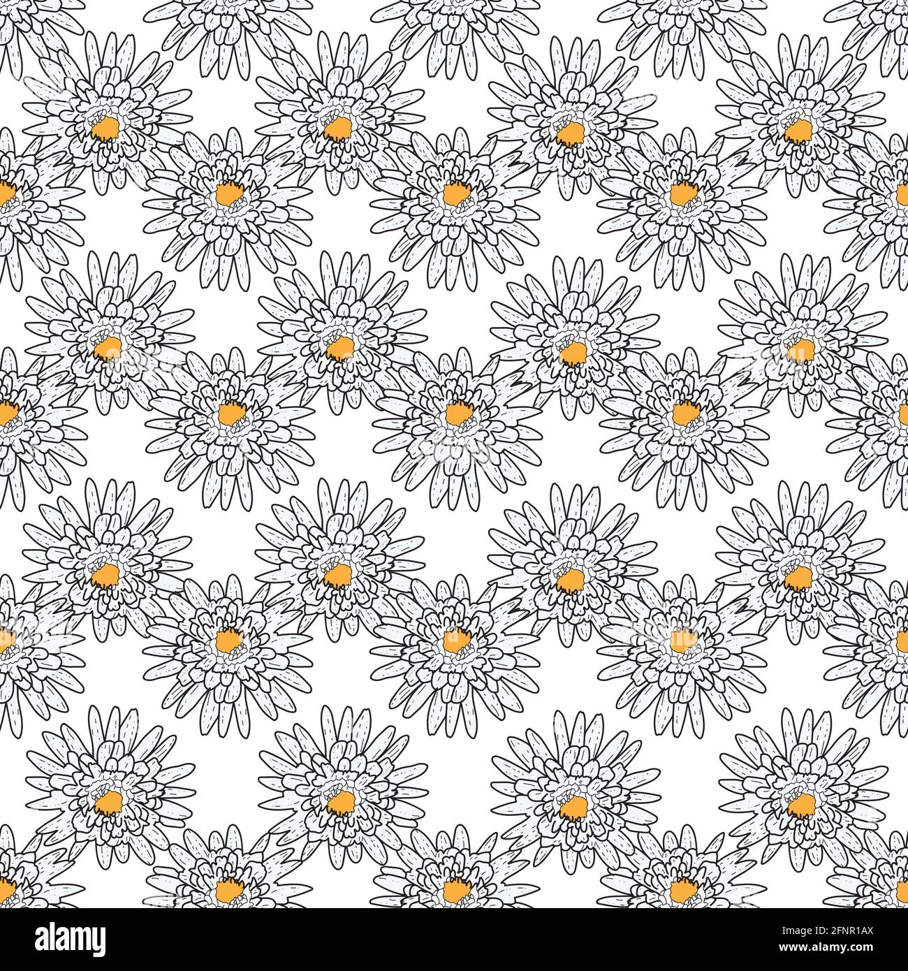 Vector white background daisy flowers and wild flowers. Seamless ...