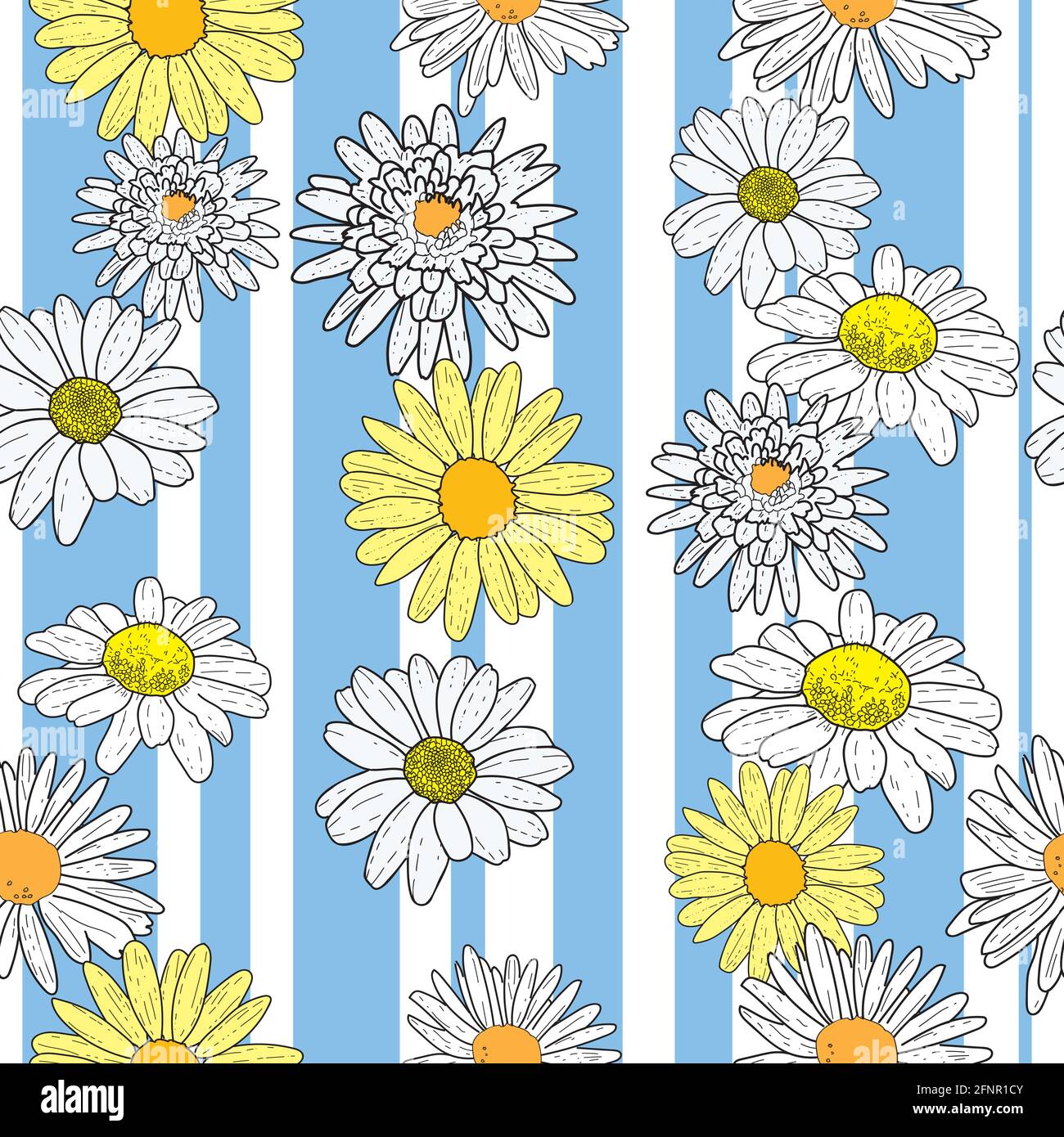 Vector white background daisy flowers and wild flowers. Seamless ...