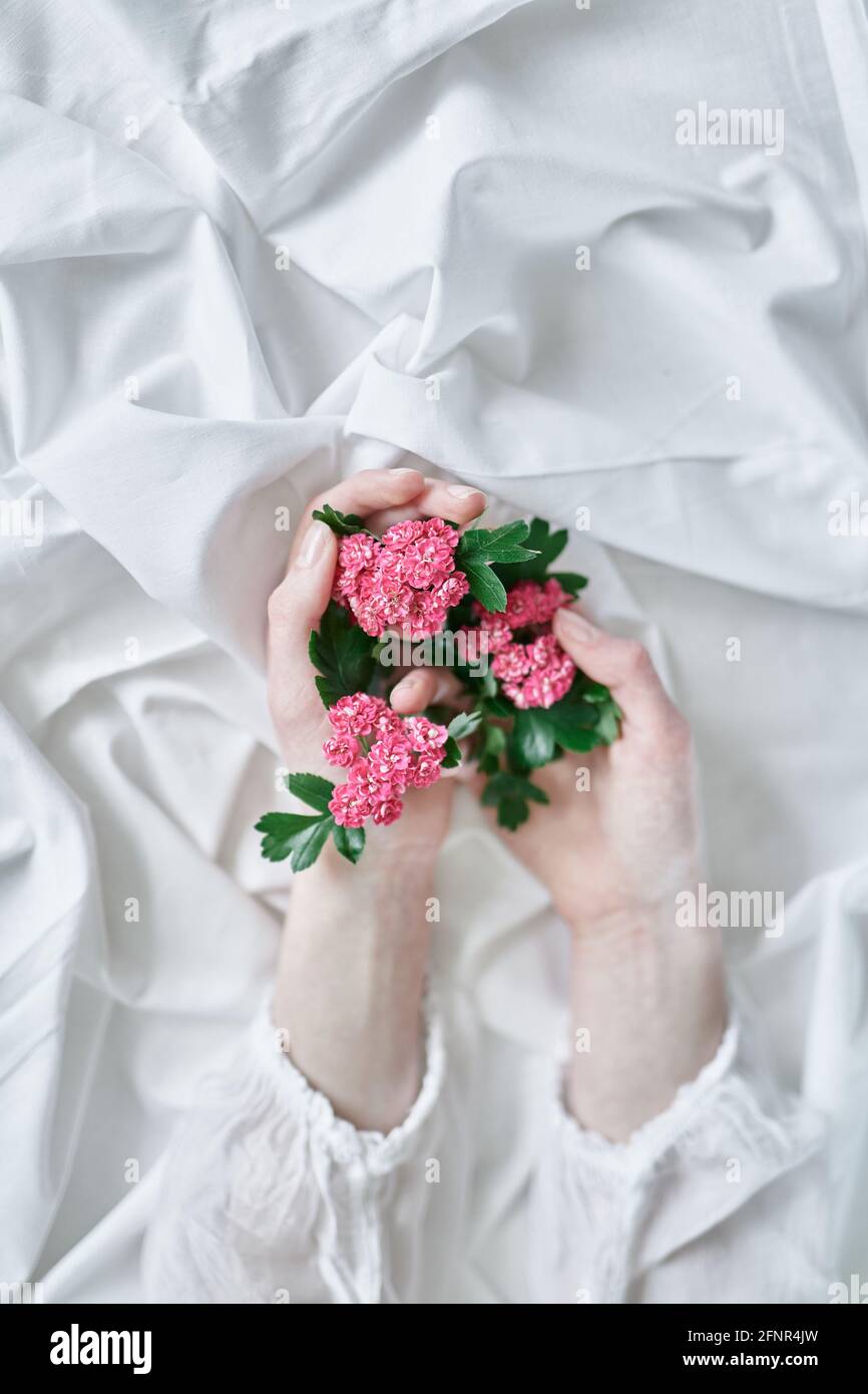 Girls hands holding tender small pink flowers with white cloth ...