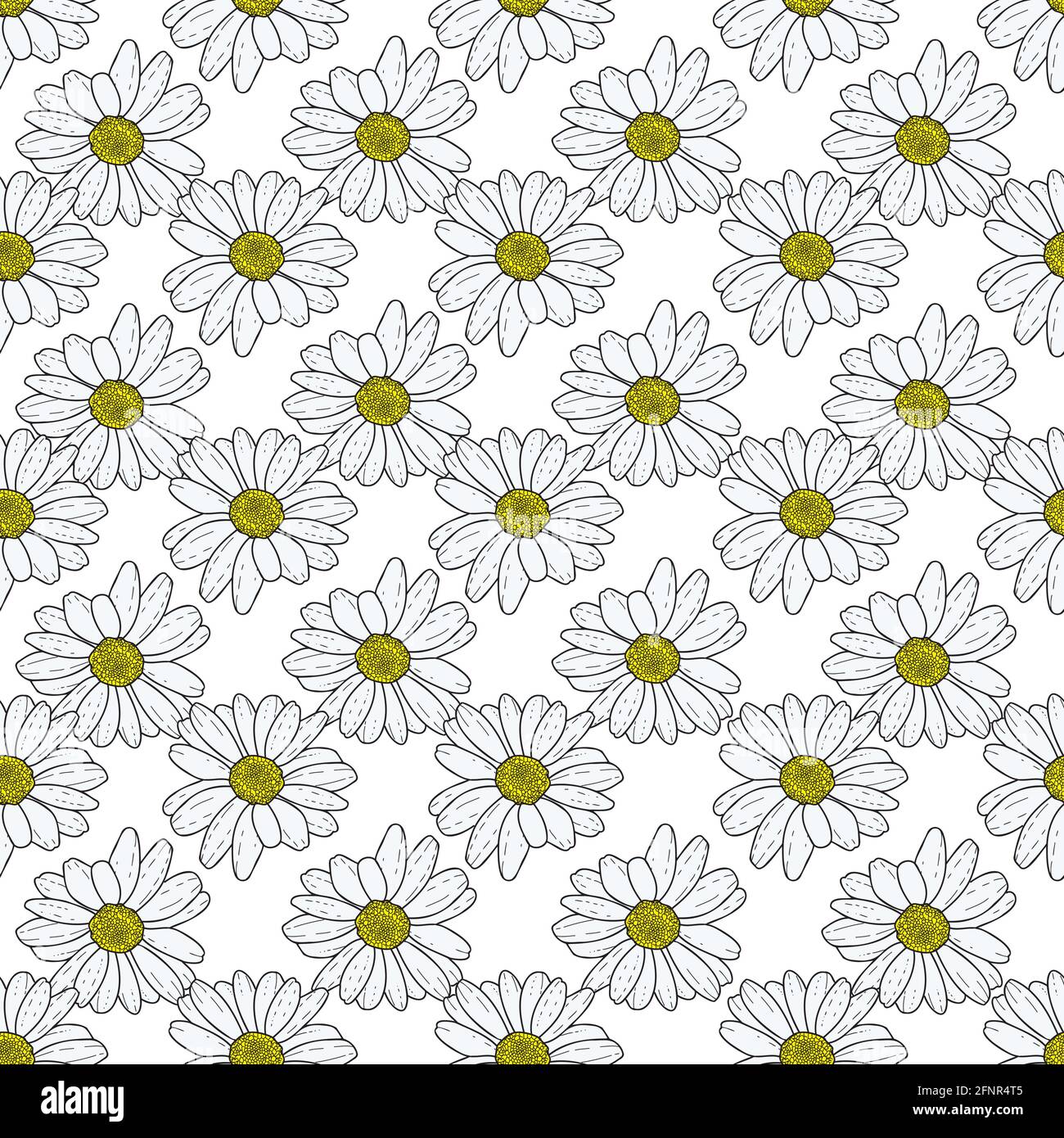 Vector white background pink daisy flowers and wild flowers. Seamless ...