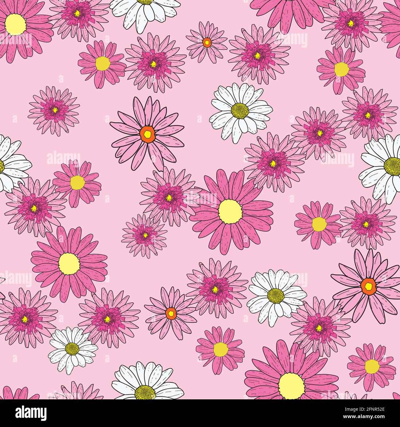Vector sweet baby pink background pink daisy flowers and wild flowers