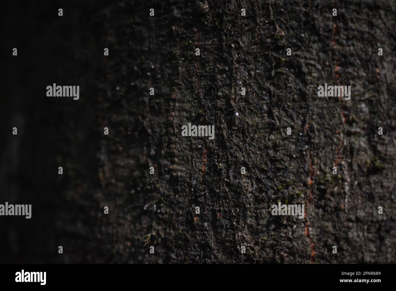 Closeup shot of the textures and patterns of a black rough surface ...