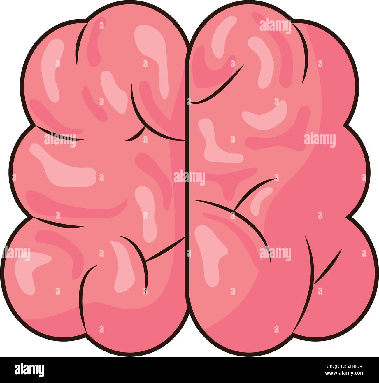 brain human organ Stock Vector Image & Art - Alamy