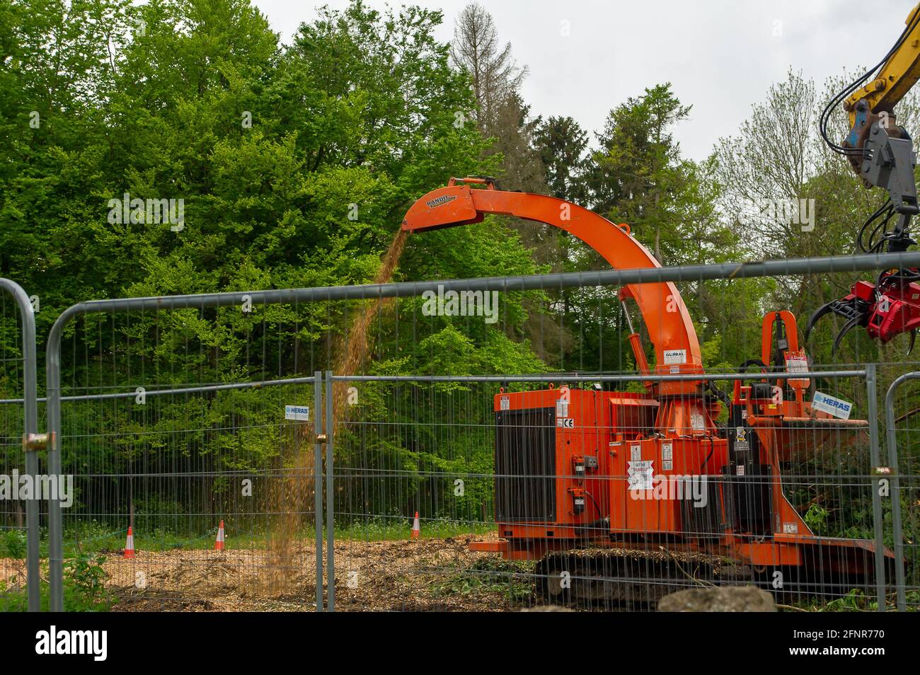 Aylesbury, Buckinghamshire, UK. 18th May, 2021. HS2 were felling mature trees today in Aylesbury. This is causing huge upset amongst locals and environmentalists who have allegedly witnessed nesting birds feeding their young in the trees that HS2 are felling. Under the Wildlife and Countryside Act 1981 it is illegal to intentionally or recklessly disturb wild birds or a nest containing eggs or young. Credit: Maureen McLean/Alamy Stock Photo