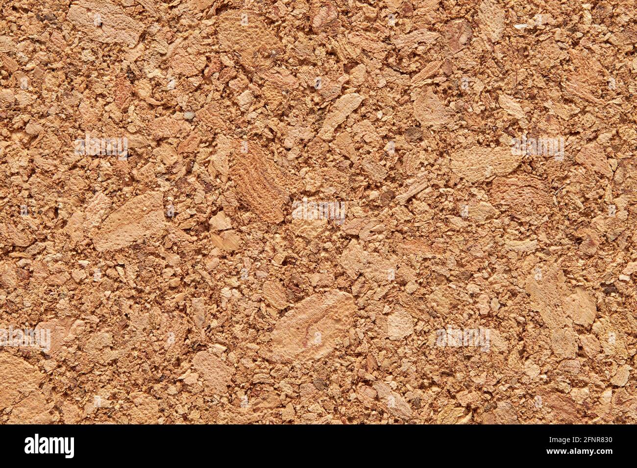 Natural cork texture background, close up. Stock Photo