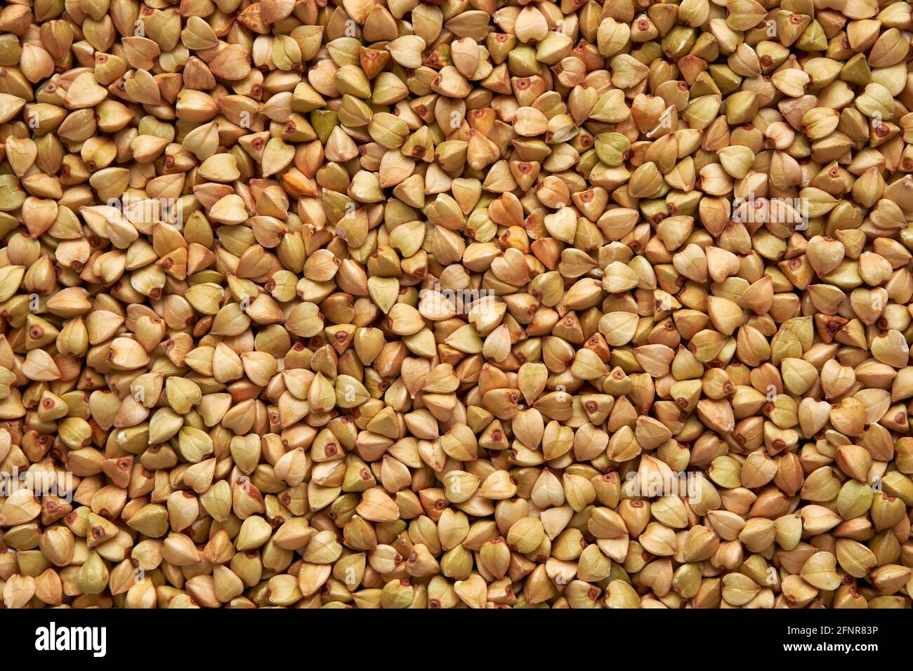 Green organic buckwheat background, gluten free grains. Stock Photo