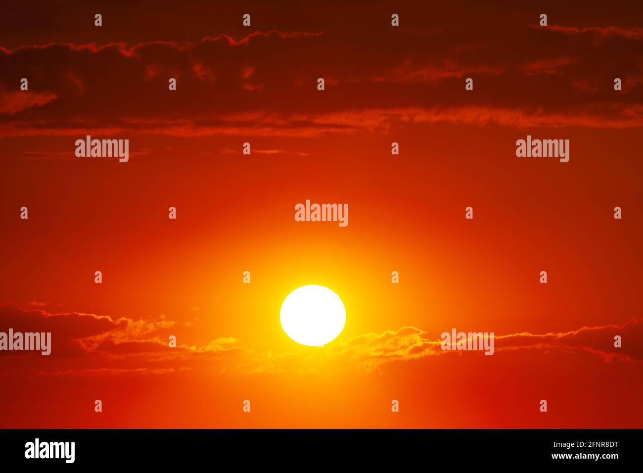 Sunset in Africa with red sky . African dusk with big sun Stock Photo ...