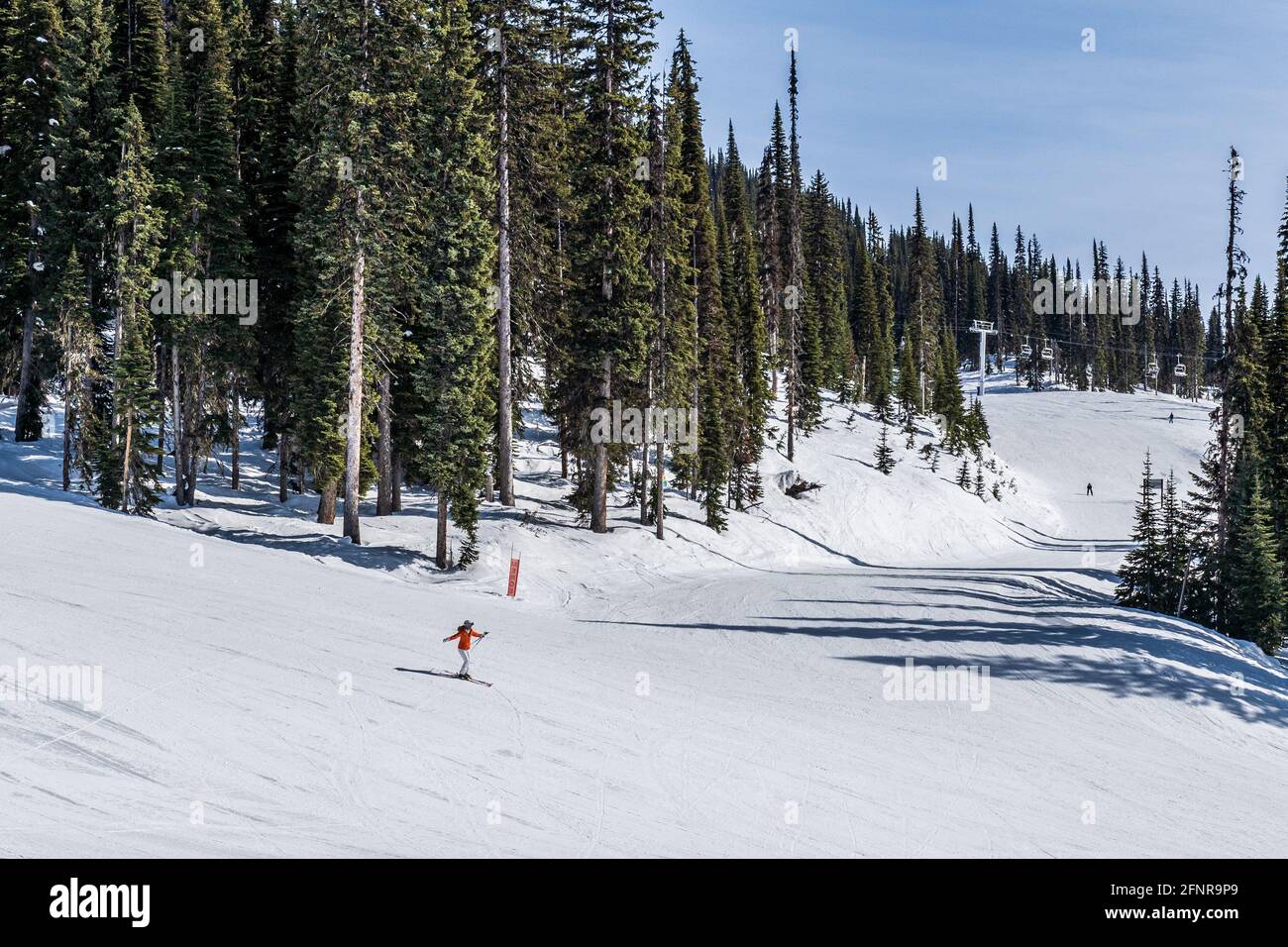 REVELSTOKE, CANADA MARCH 17, 2021 people on downhill ski trail with