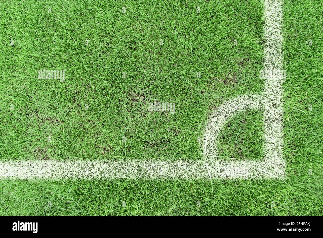 White stripe corner markings on a football field with green grass. Top