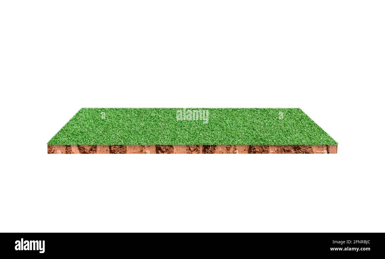 Soil cubic geology cross section with green grass field isolated on ...