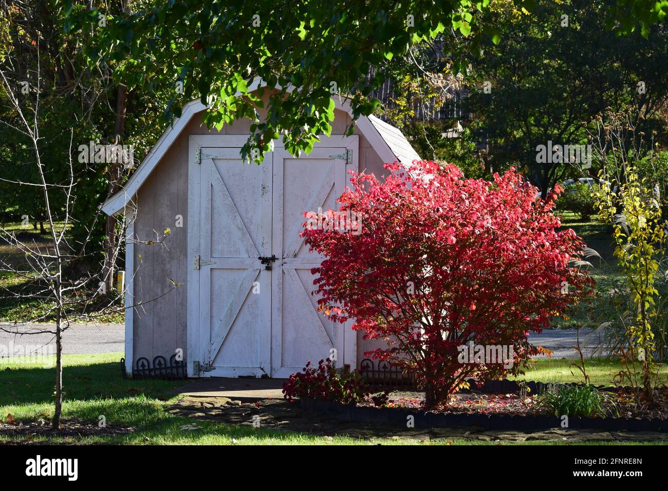 shed in the backyard Stock Photo