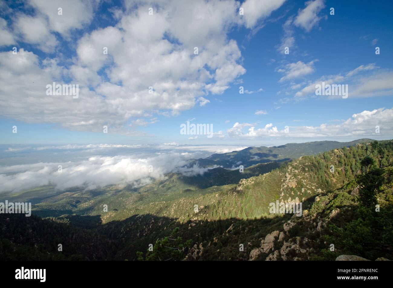 Sulphur springs valley arizona hires stock photography and images Alamy