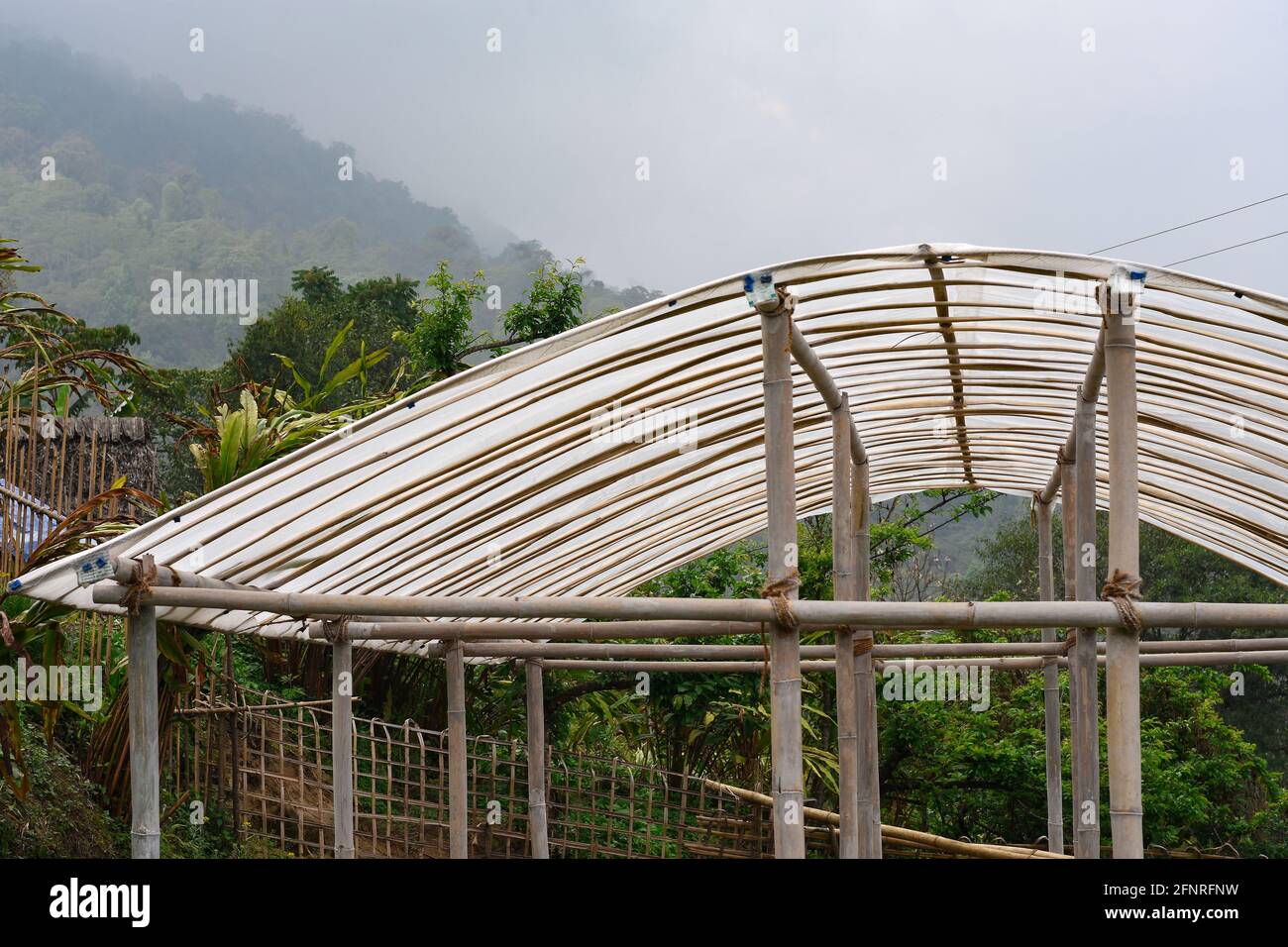 Greenhouse structure, with walls and roof made of transparent Plastic material, Provide plants regulated climatic conditions. Stock Photo
