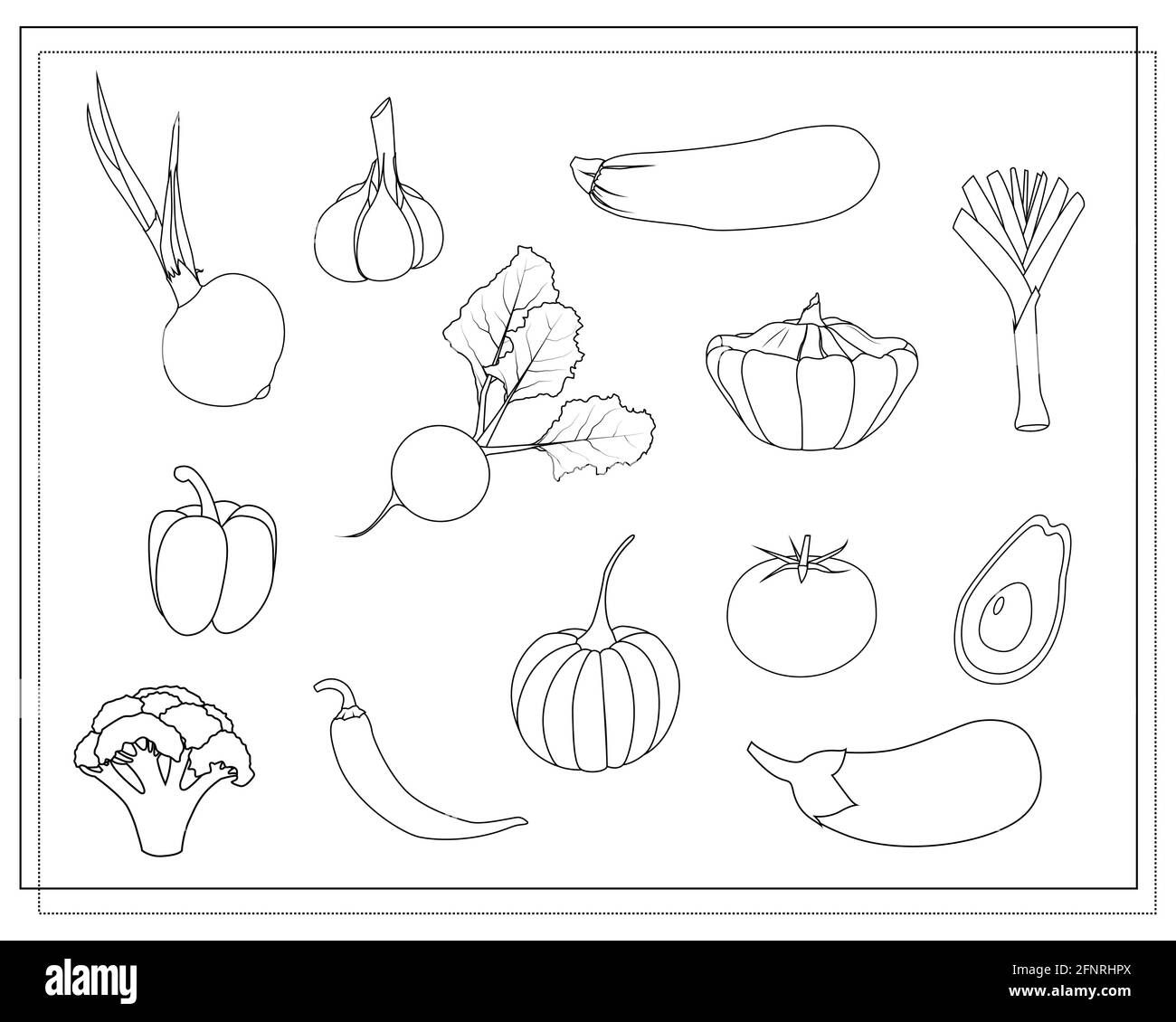 a set of contours, coloring vegetables. onion, garlic, beetroot, avocado, pumpkin, broccoli eggplant, leek, pepper, squash, squash chili pepper vector Stock Vector