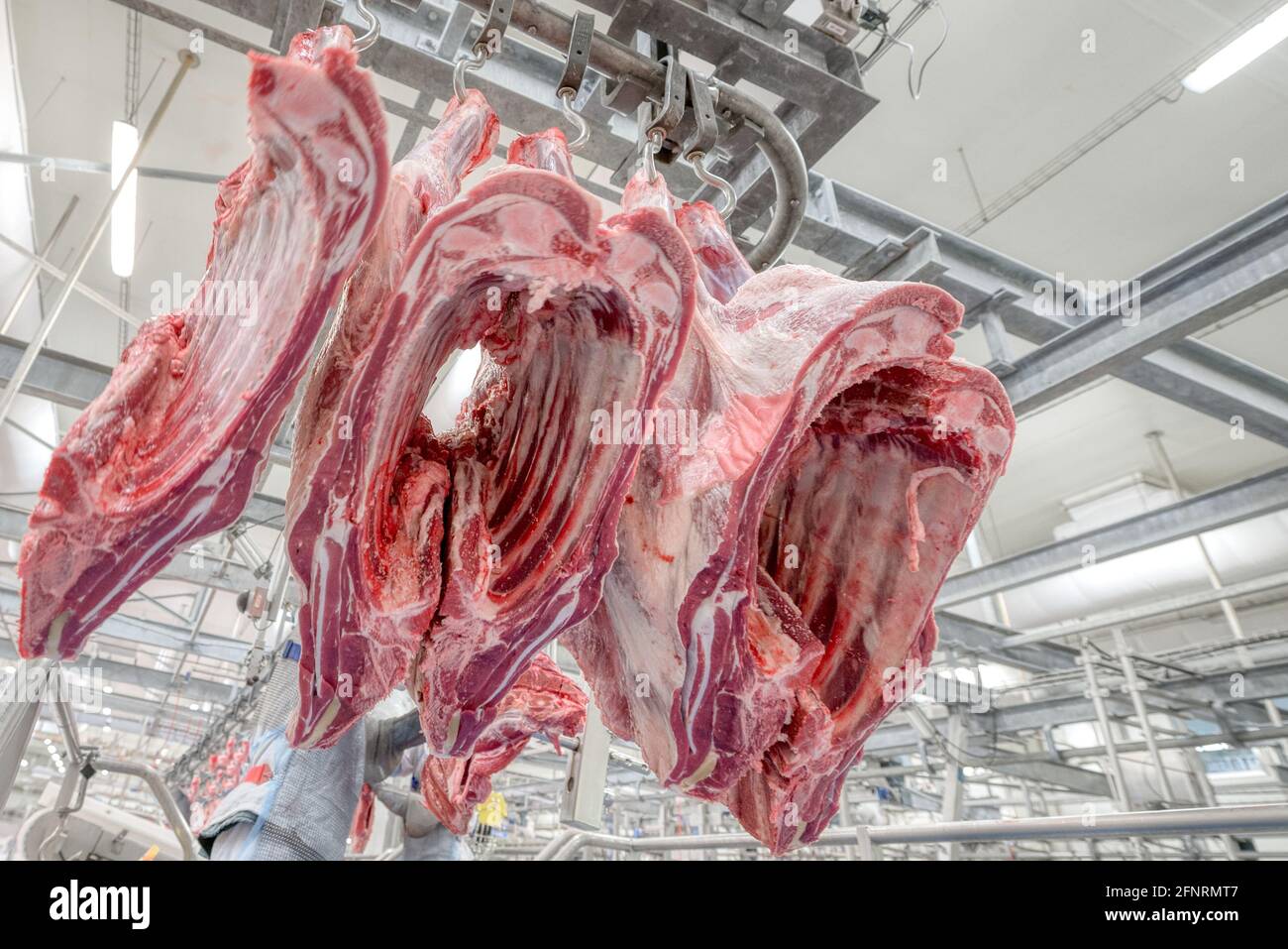 7,835 Raw Meat Freezer Images, Stock Photos, 3D objects, & Vectors
