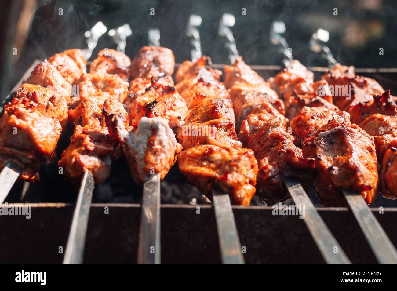 Marinated Barbecue Meat On Skewer Shish Stock Photo 1095659402