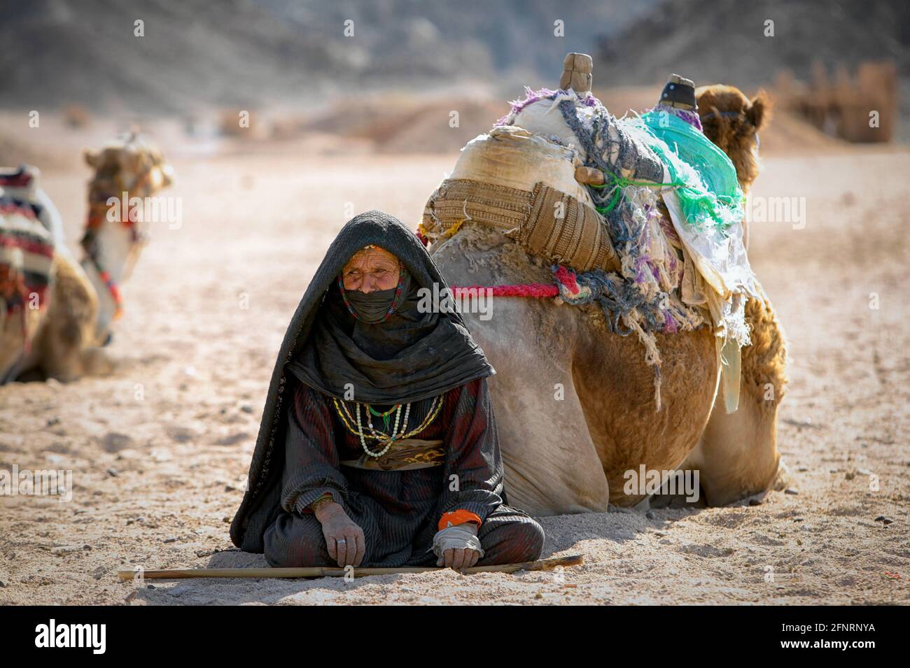 khadal, Oman,7th April 2018: omani men in traditional clothing, with their  camels, gathering to celebrate Eid Stock Photo - Alamy