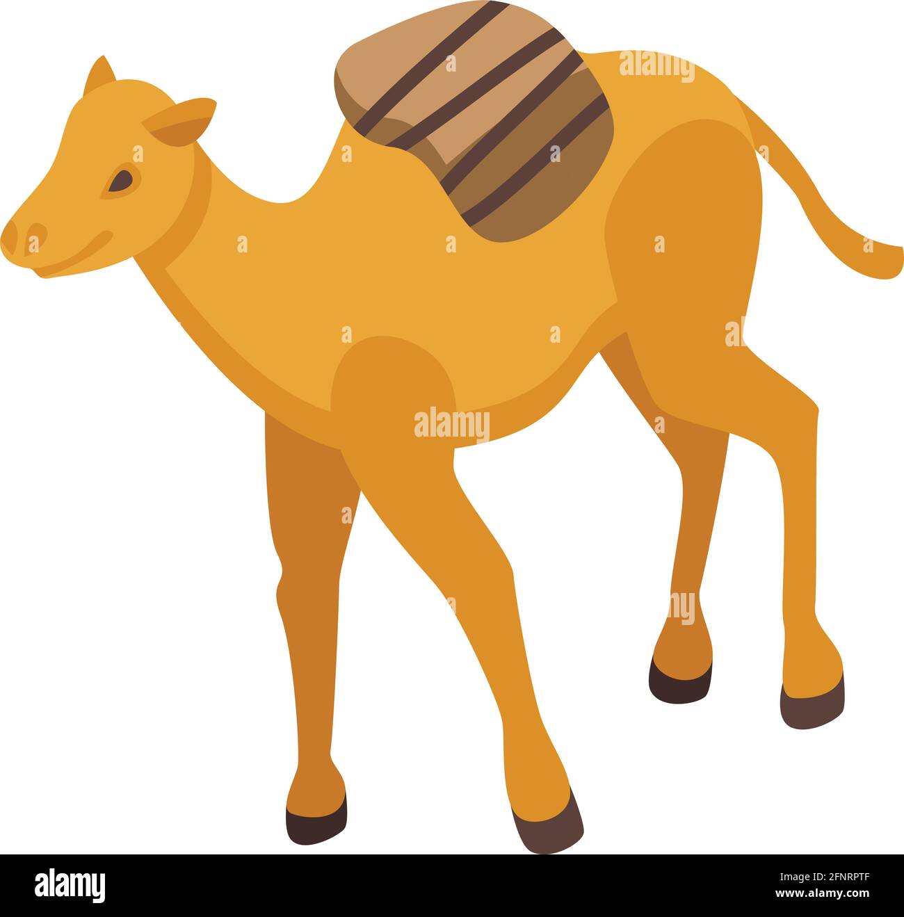 Zoo camel icon. Isometric of Zoo camel vector icon for web design ...