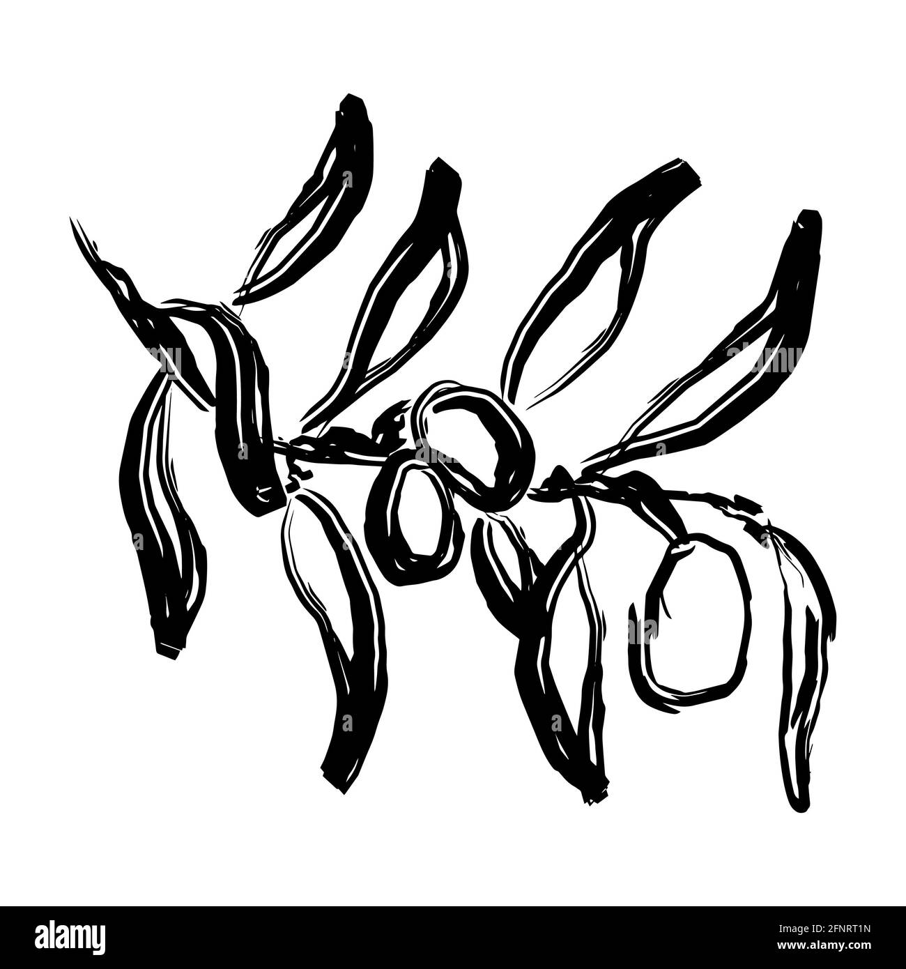 bunch of olives branch with leaves and olives olives vector doodle brush black outline Stock Photo