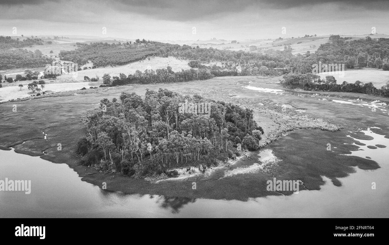 Tree island on the field Stock Photo Alamy