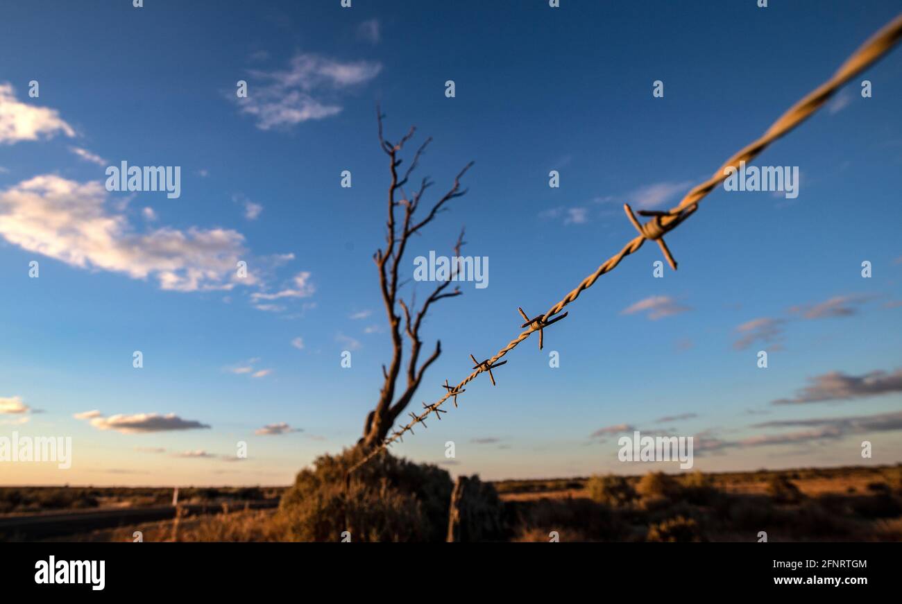 Australian drought landscapes hi-res stock photography and images - Alamy
