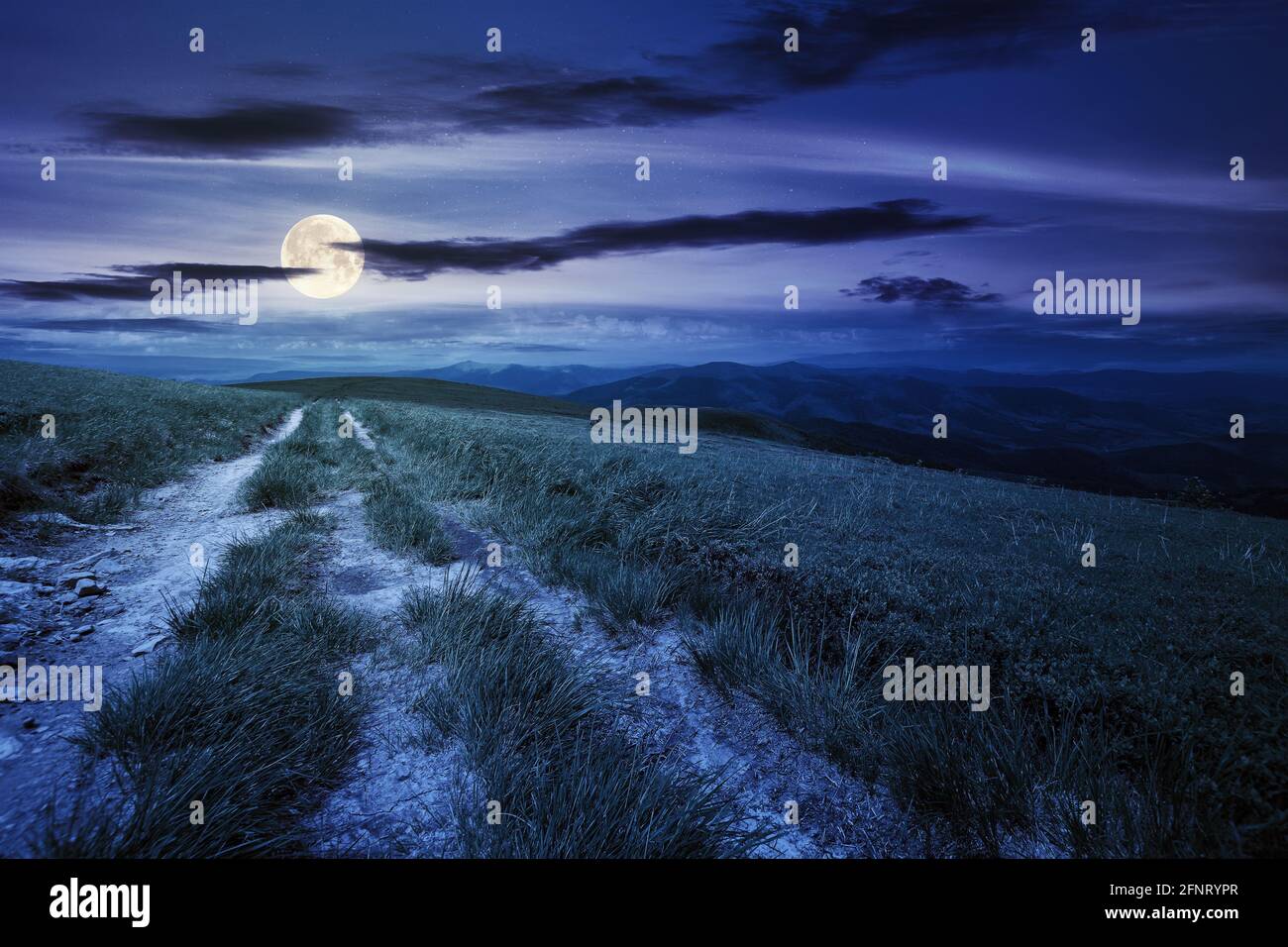 View empty road night hi-res stock photography and images - Alamy