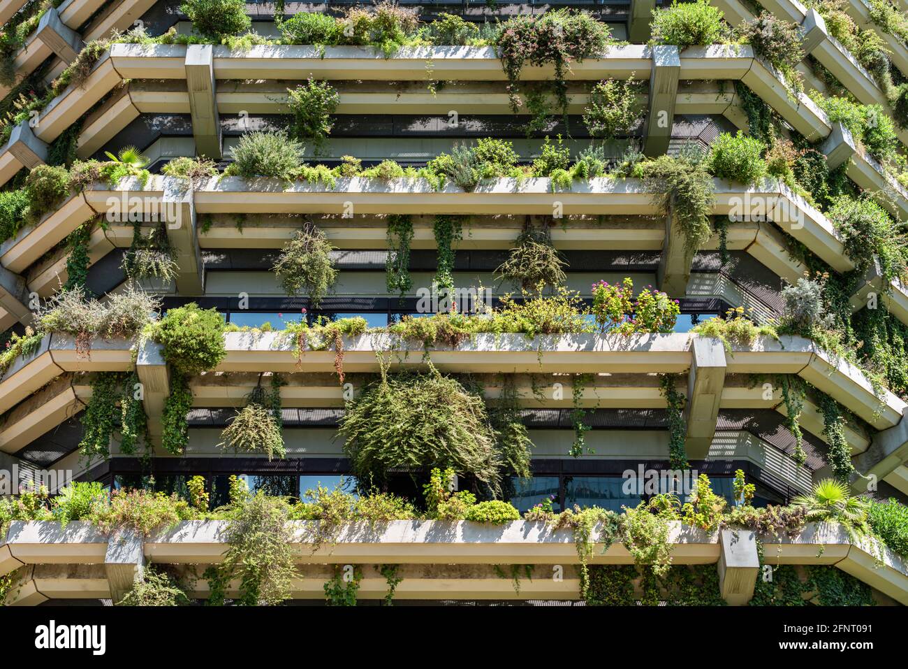Green Building Facade Details In Barcelona, Spain Stock Photo