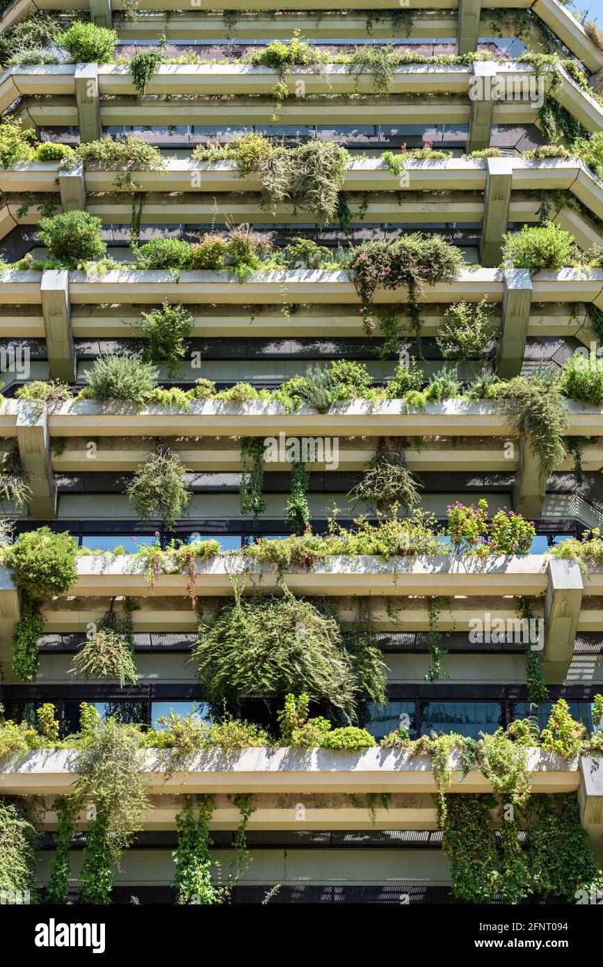 Green Building Facade Details In Barcelona, Spain Stock Photo