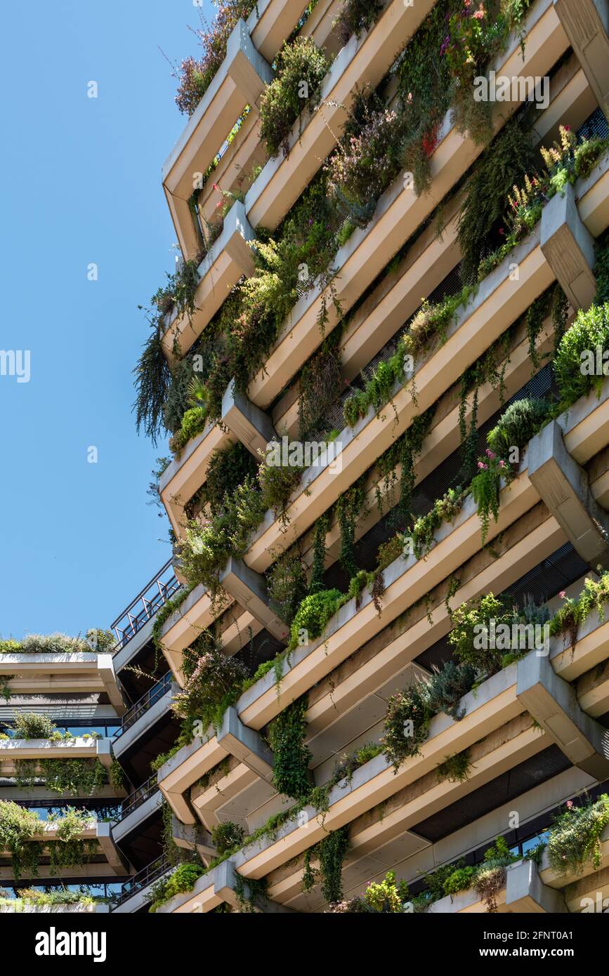 Green Building Facade Details In Barcelona, Spain Stock Photo