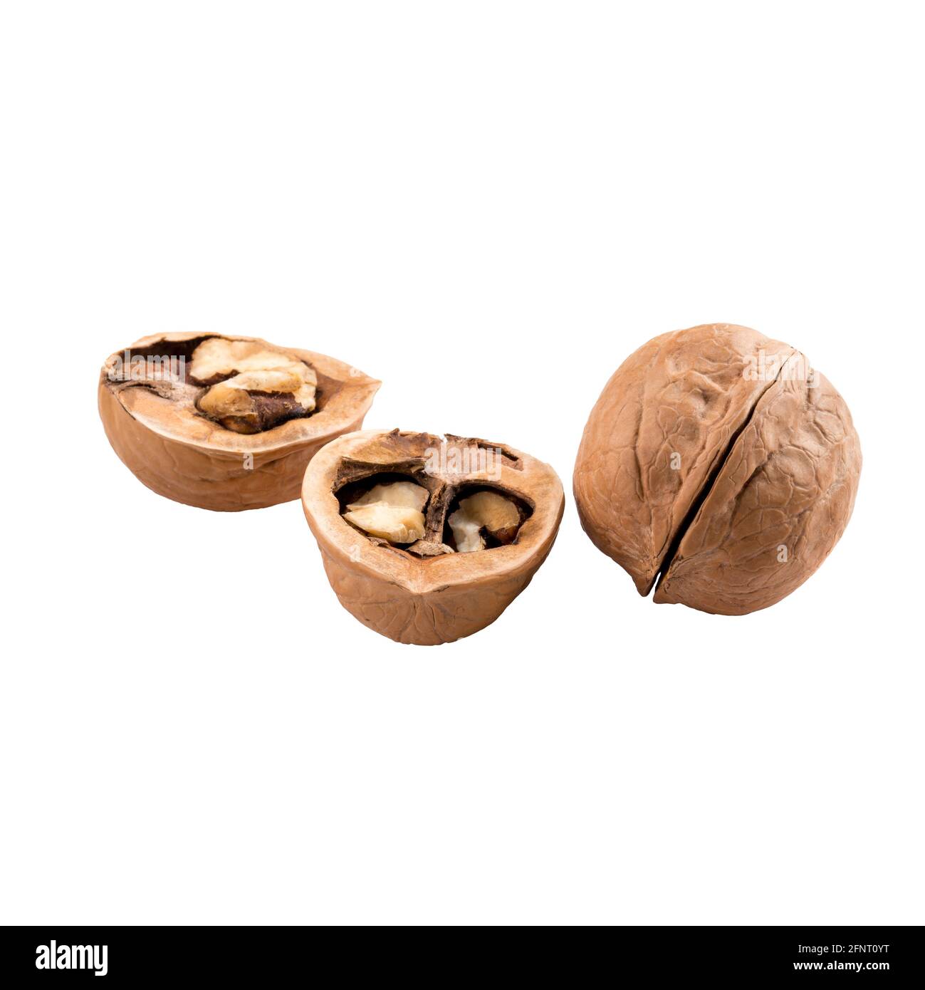Isolated walnuts in shell on white Stock Photo Alamy
