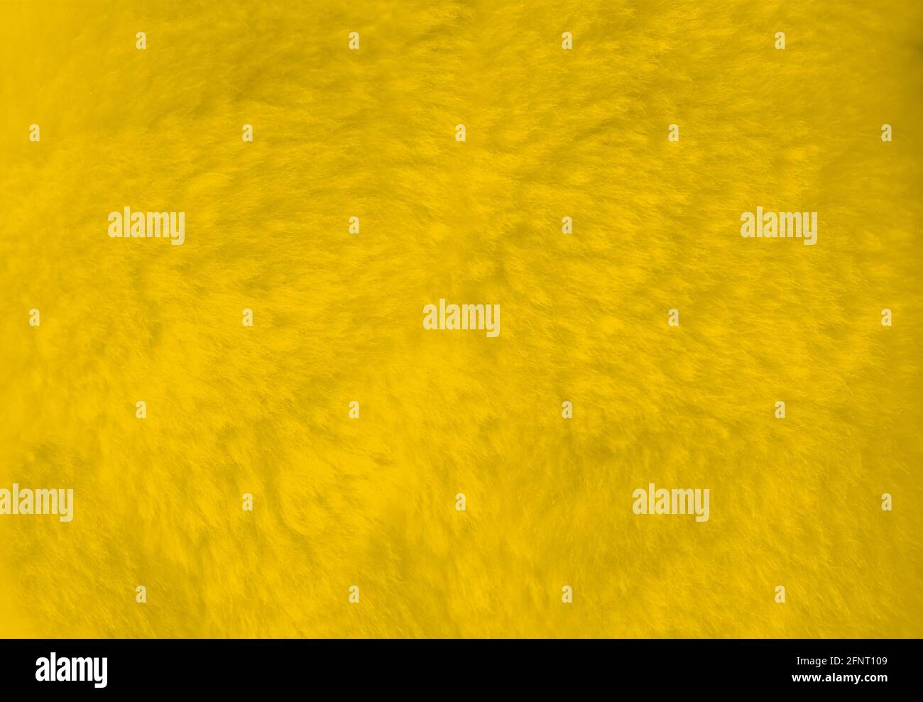 Yellow fur background close up view. Texture wallpaper Stock Photo - Alamy