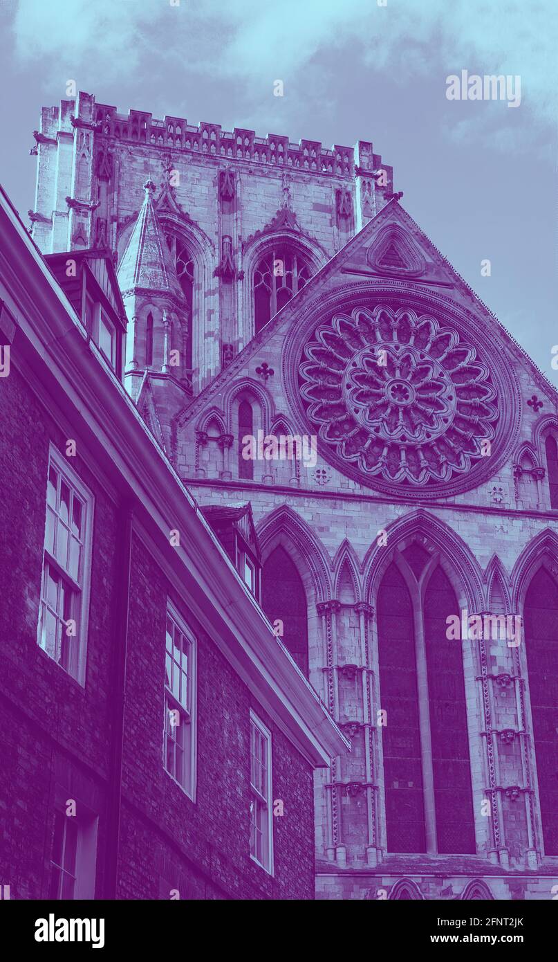 A duotone rendering of the Rose Window in the South Transept of York Minster. Stock Photo