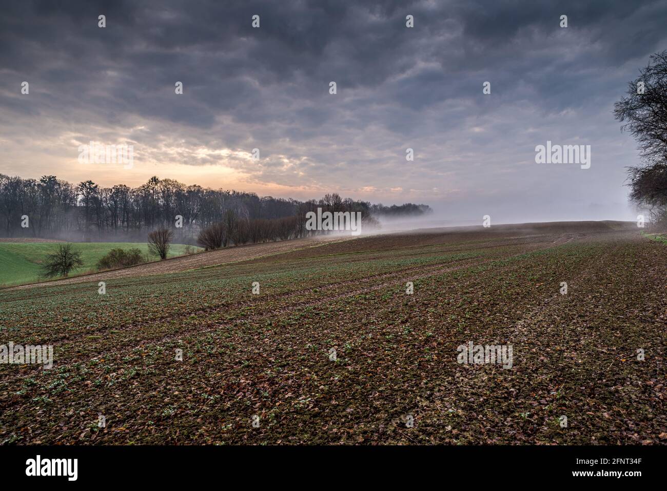 Breathtaking panoramic shot of a foggy field with beautiful landscapes in morni Stock Photo