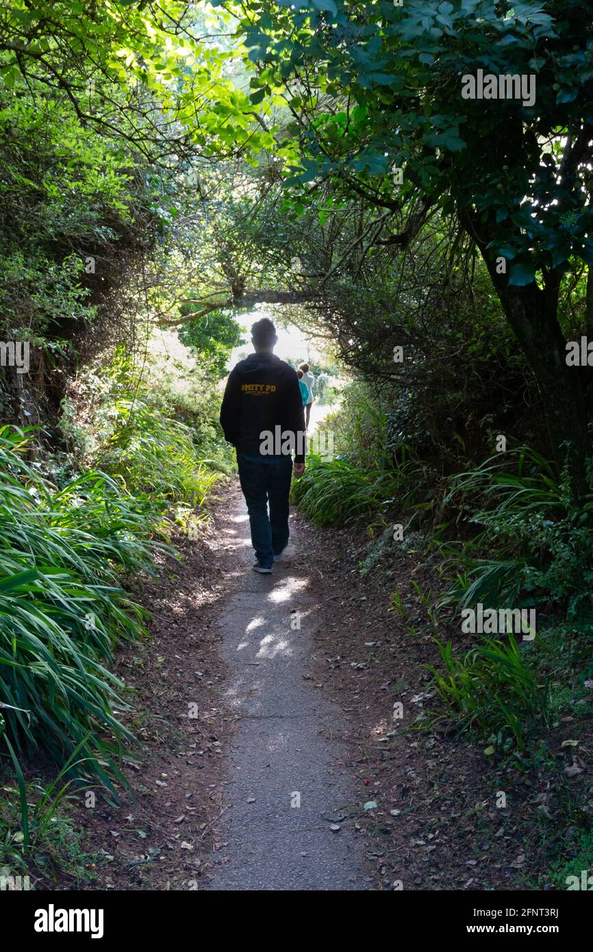 A man is nearly silhouetted as he walks down a leafy path in summer in Hope Cove, Devon, UK. Stock Photo